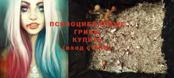 сатива Алексин