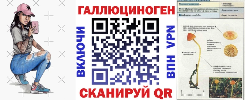 KRAKEN маркетплейс  Красный Кут  Псилоцибиновые грибы ЛСД 